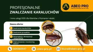 Profesjonalne zwalczanie karaluchów i prusaków. Skuteczna dezynsekcja i dezynfekcja. ABEO PRO Poznań.