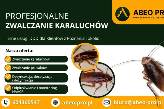 Profesjonalne zwalczanie karaluchów i prusaków. Skuteczna dezynsekcja i dezynfekcja. ABEO PRO Poznań.