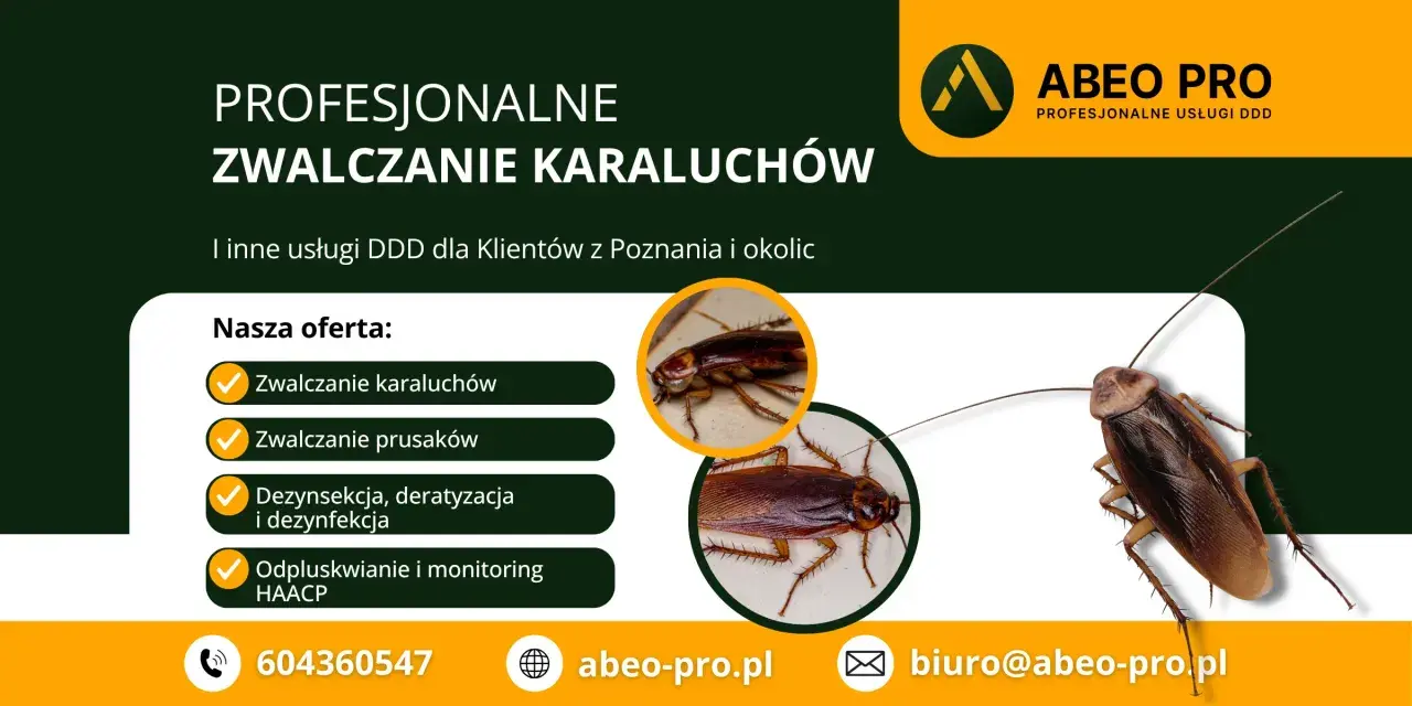 Profesjonalne zwalczanie karaluchów i prusaków. Skuteczna dezynsekcja, deratyzacja i dezynfekcja. ABEO PRO Poznań.